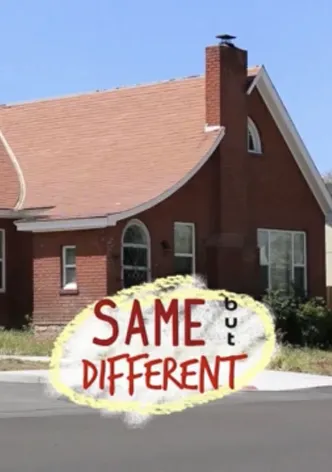 Same but Different poster