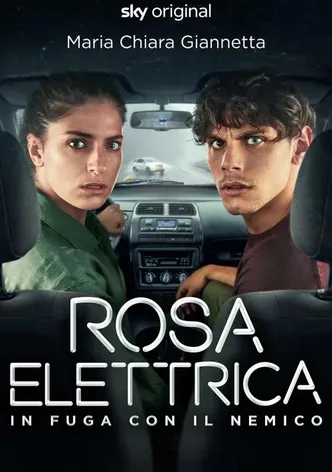 Rosa elettrica poster