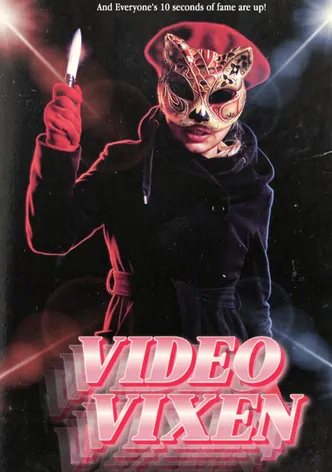 Video Vixen poster